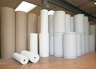 Pulping and Papermaking Industry
